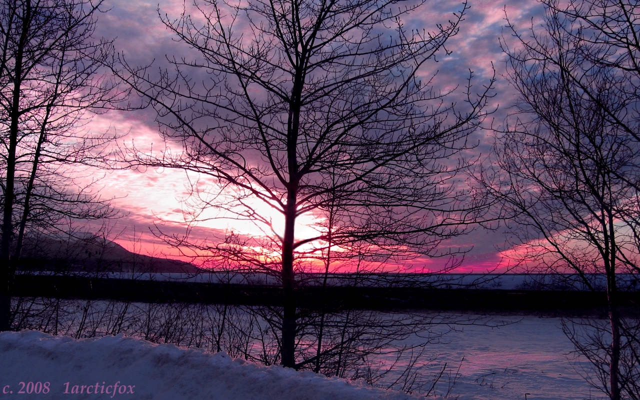 AWE INSPIRING ARCTIC SUNSET