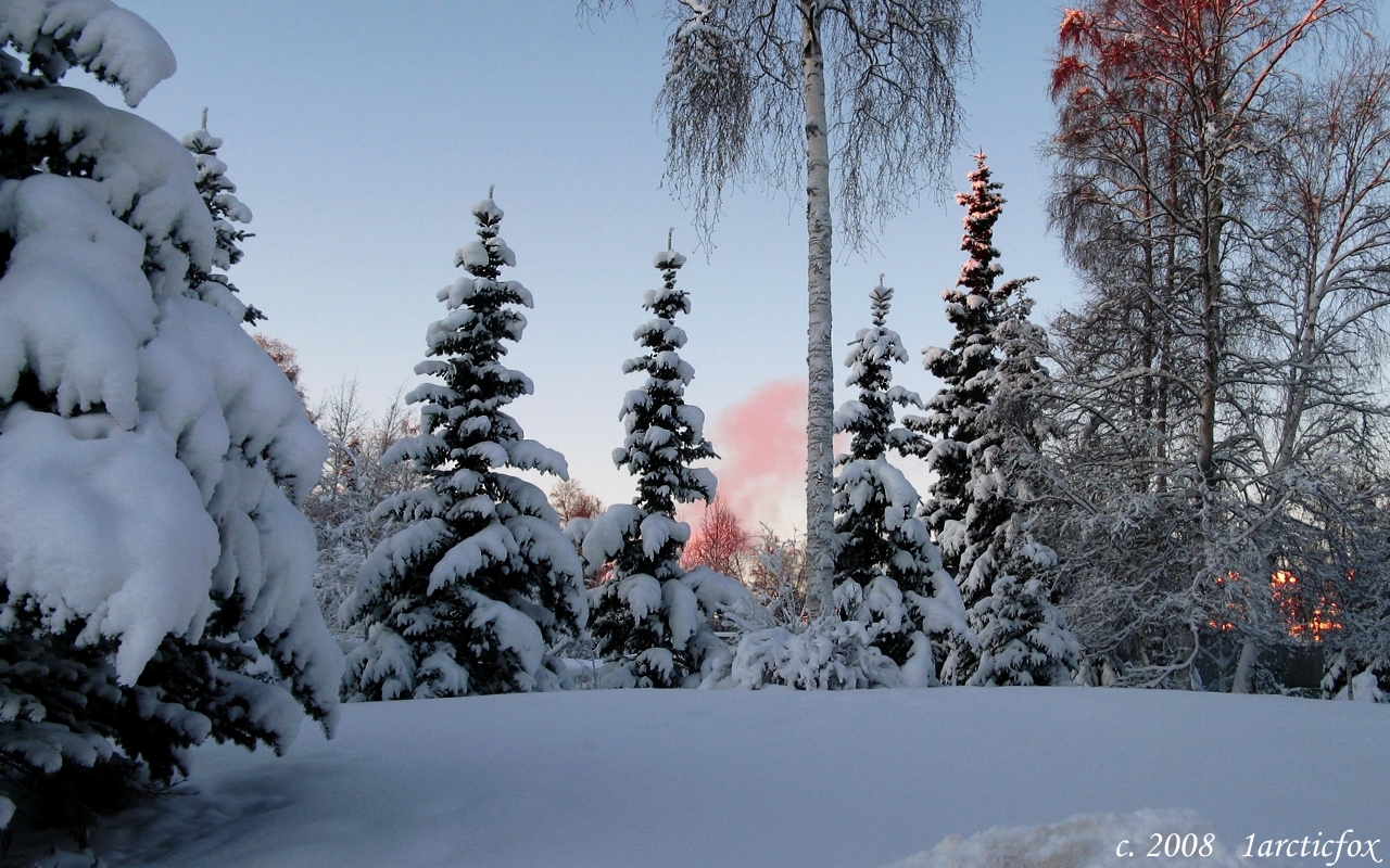 ARCTIC SKY JEWEL