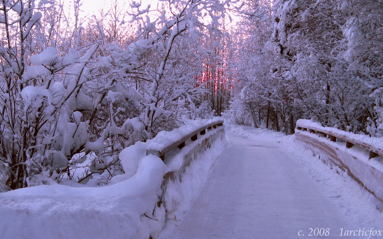 FROZEN ARCTIC CROSSING