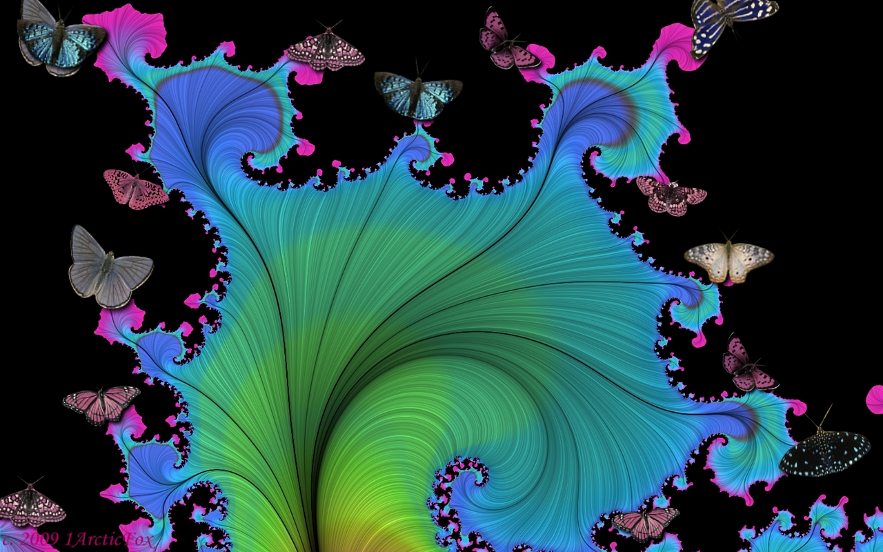 DANCING WITH FRACTALS