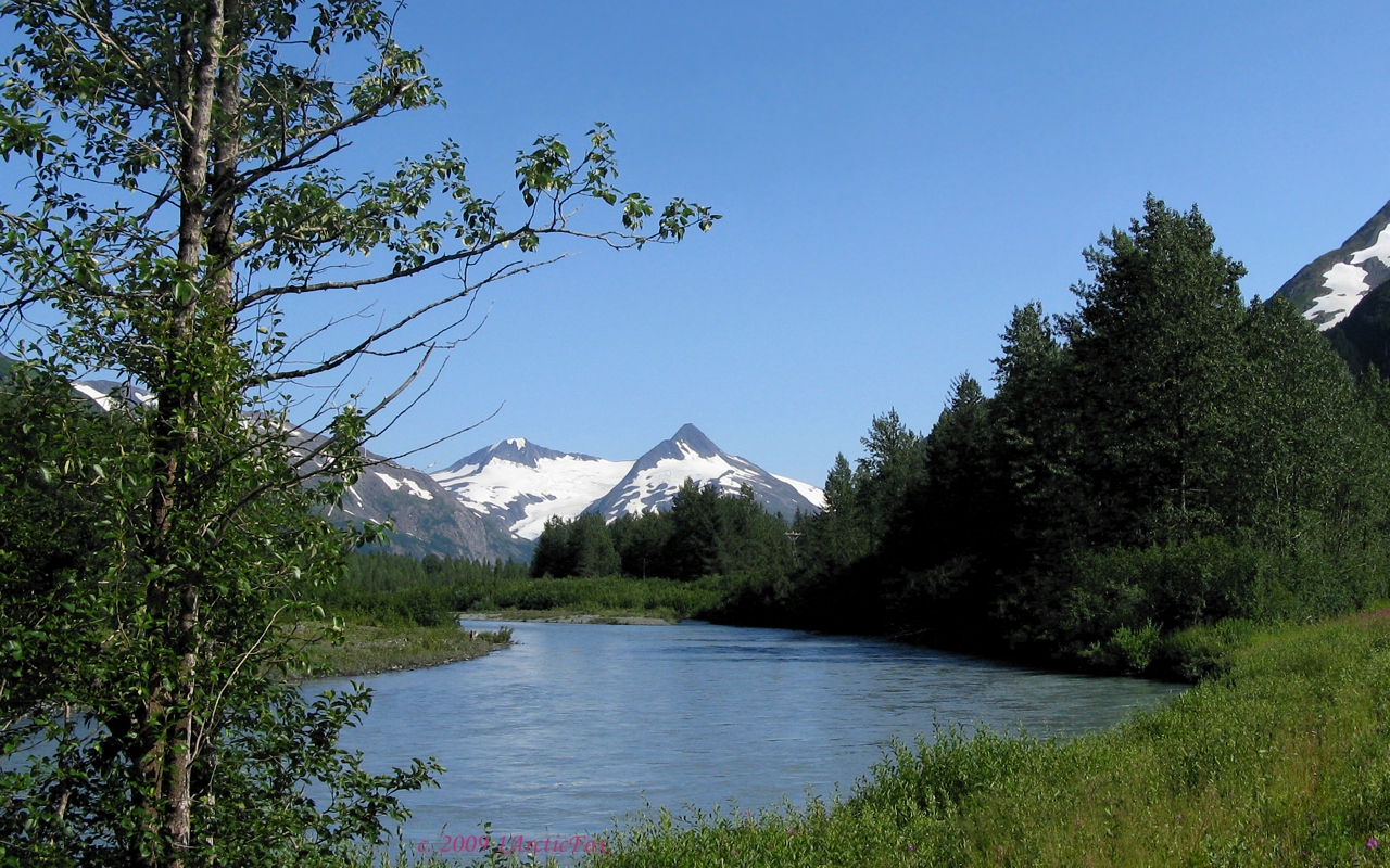 ALASKA PORTAGE VALLEY BEAUTY