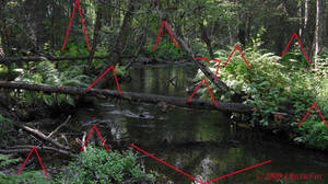 SIGNATURE CHALLENGE REVEAL