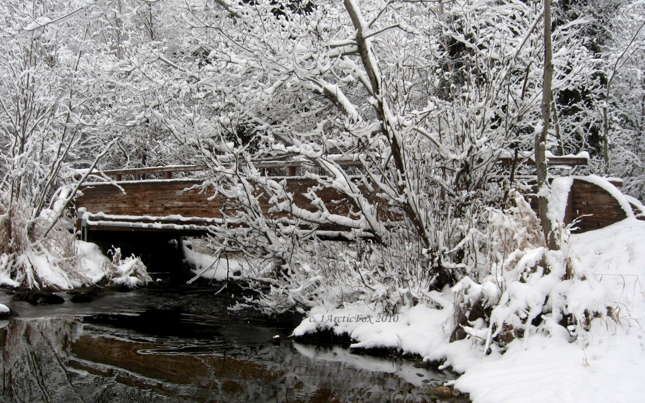 THE CHRISTMAS BRIDGE