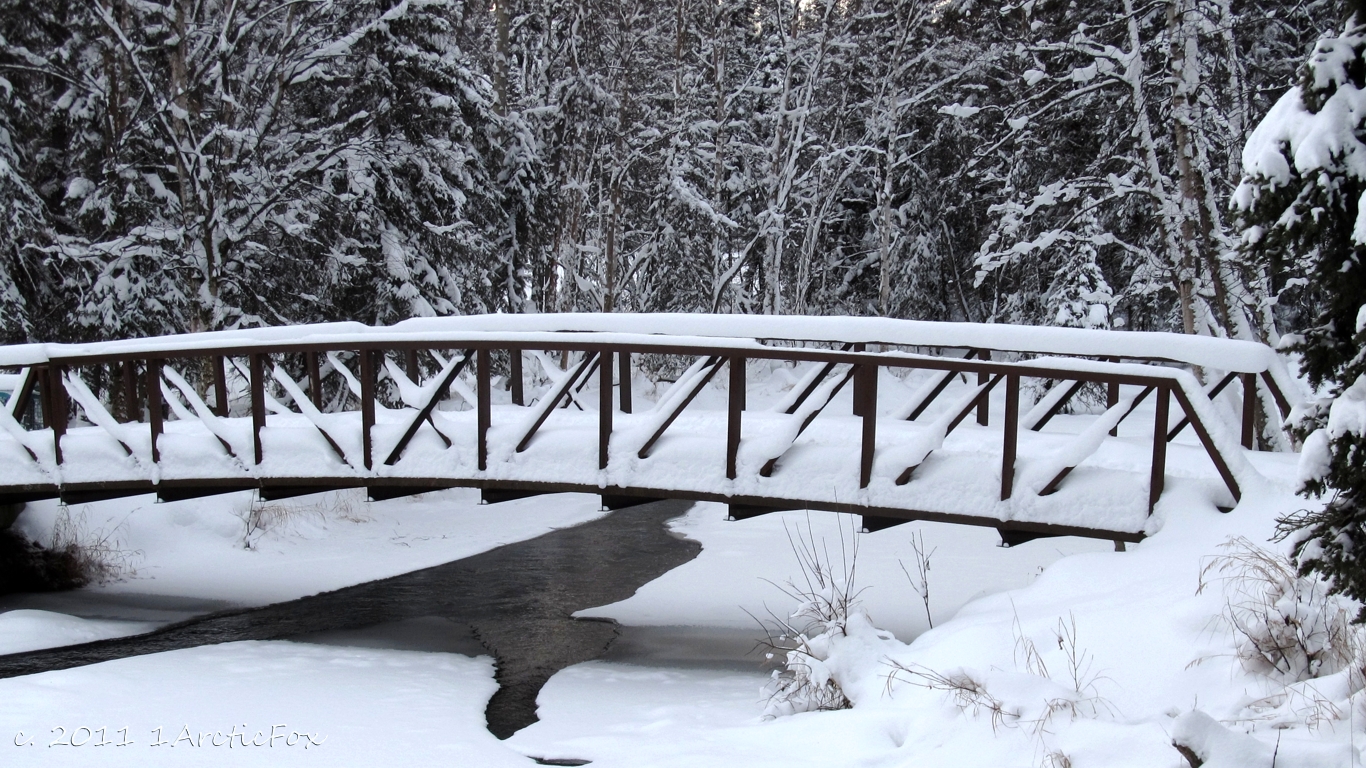 BRIDGE OVER FREEZING WATER