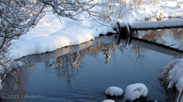 REFLECTION OF WINTER BEAUTY