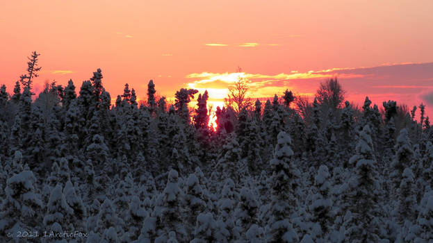 A WINTER ARCTIC SKY