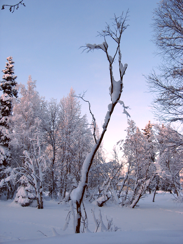 COLD CRYSTALLINE BLUE