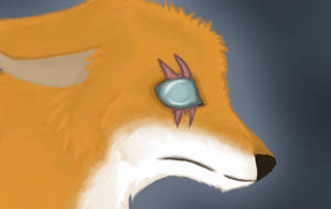 Blind fox