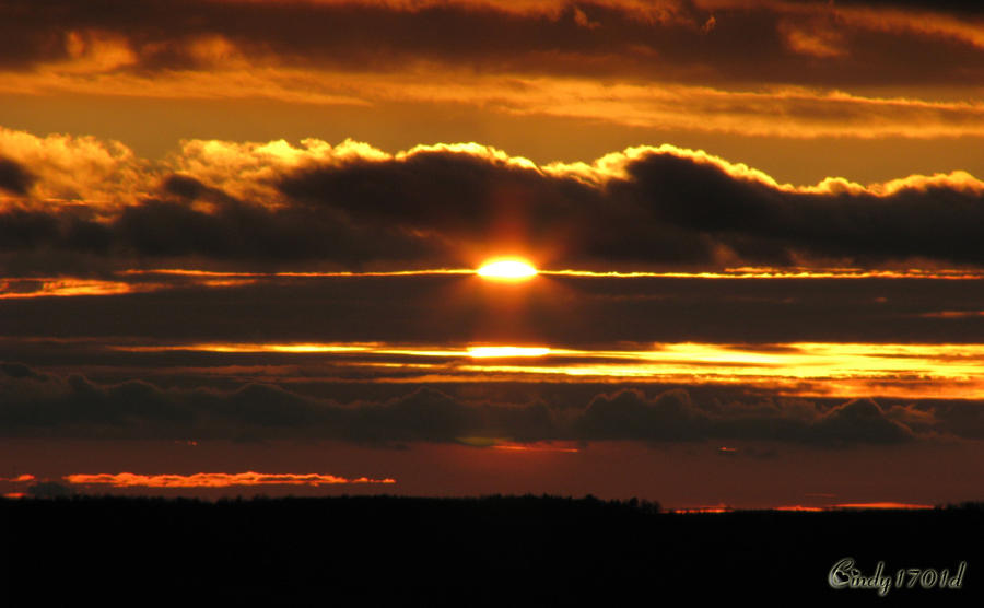 Golden Sunset