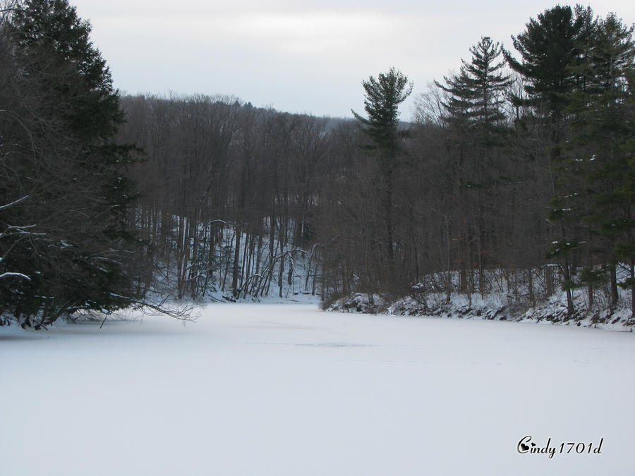 Reflect, In White