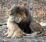 Donovan and Daddy by cindy1701d