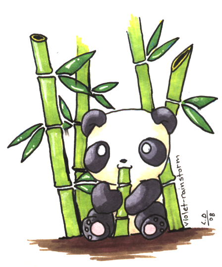 Cute Panda