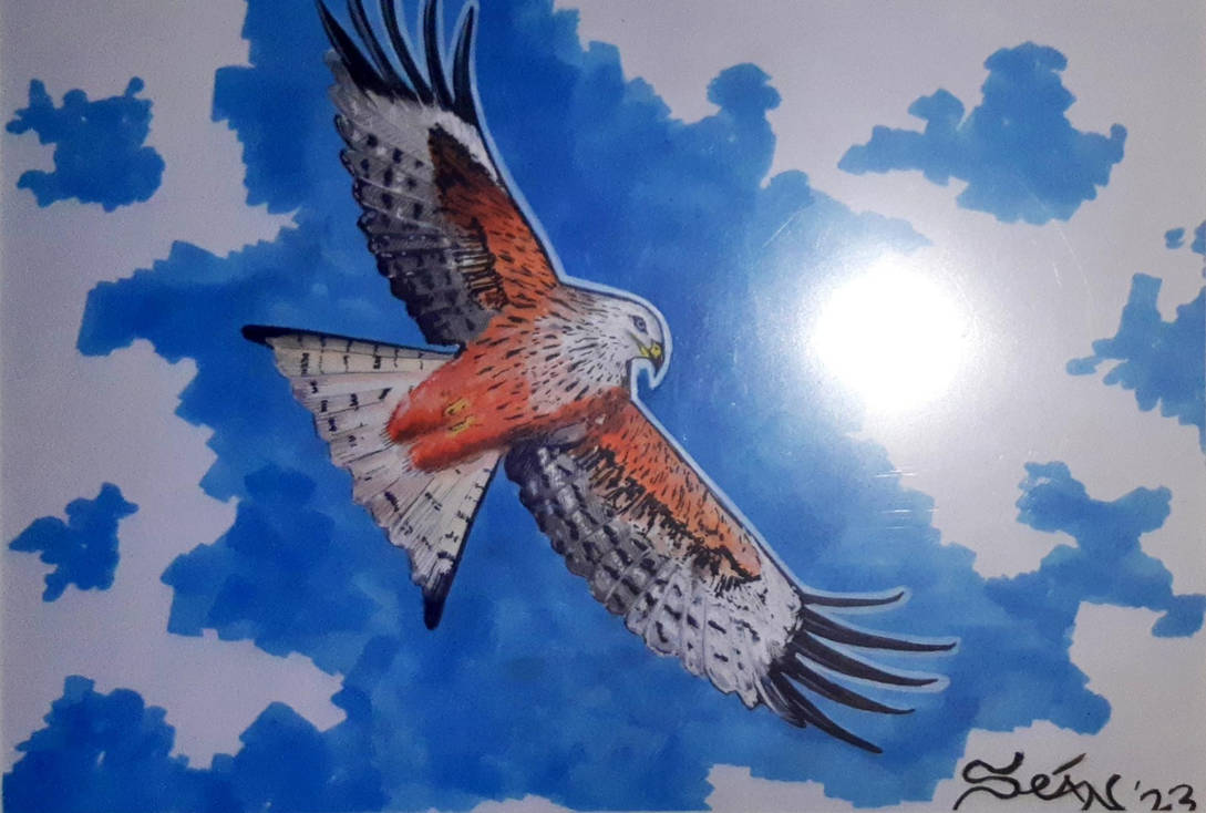 Abstract Red Kite Red Kite by blubber1976 on DeviantArt