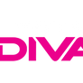 WWE Total Divas Logo