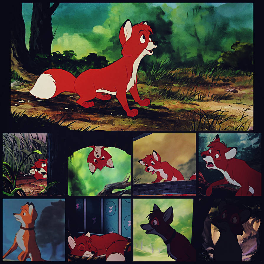 Tod. by Pig3on2 on DeviantArt