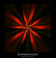 Flowering Light