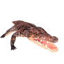 animated crocodileattackLG