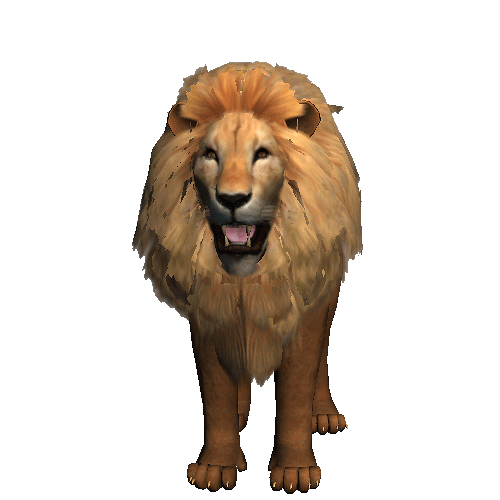 swf animated gif Lion by Valterbrilhante on DeviantArt
