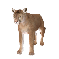 mountainlionLG