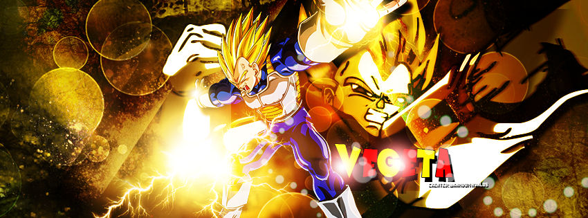 Vegeta Final Flash by AvRodSaiyan on DeviantArt