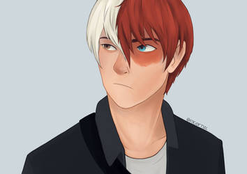 My boi Shoto by Rocio162