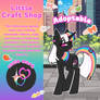 Pony Adoptable-Little Craft Shop