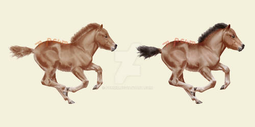 Greyscale example - galloping dartmoor foal