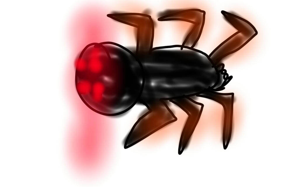 Spider Insect Deviantart Spider by ParisLaris on DeviantArt