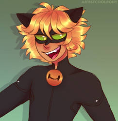 Chat Noir