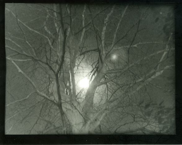 Tree and Moon