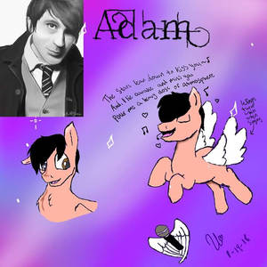 Adam young mlp