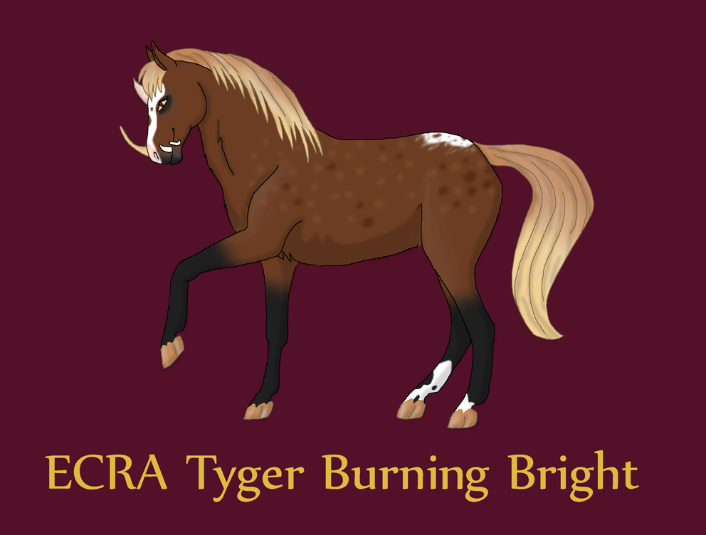 ECRA Tyger Burning Bright