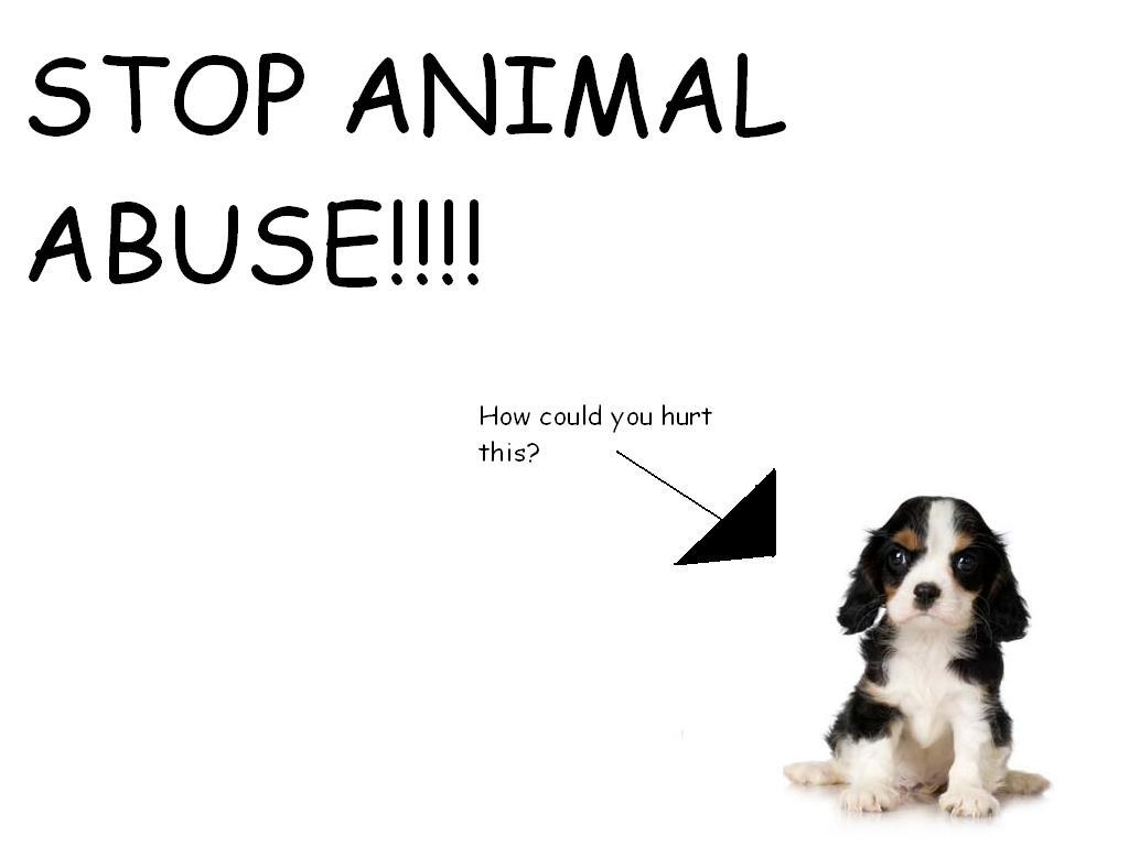 stop animal abuse background by themaster852 on DeviantArt stop animal abuse background by themaster852 on DeviantArt