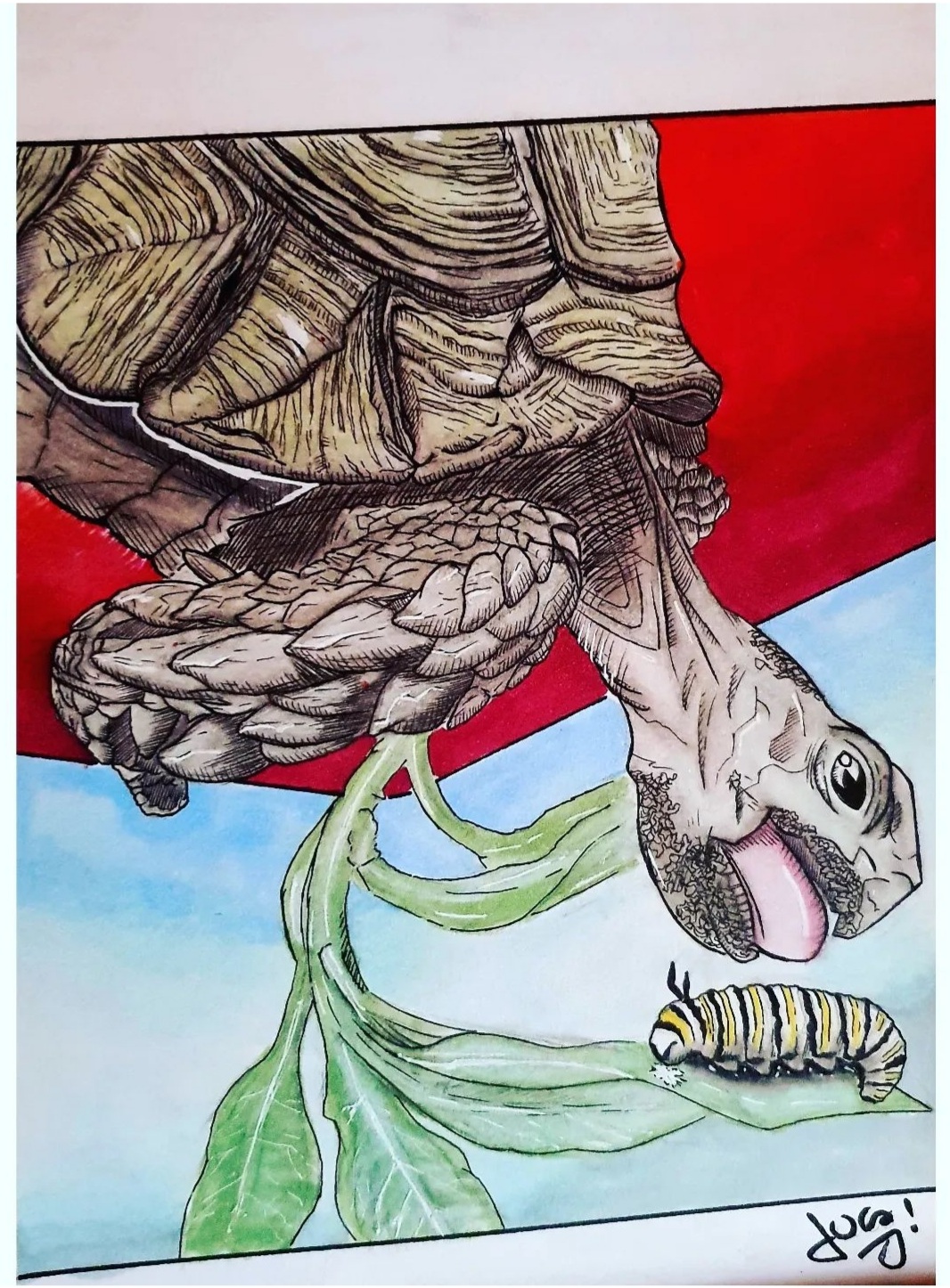 Turtle by l-art84 on DeviantArt