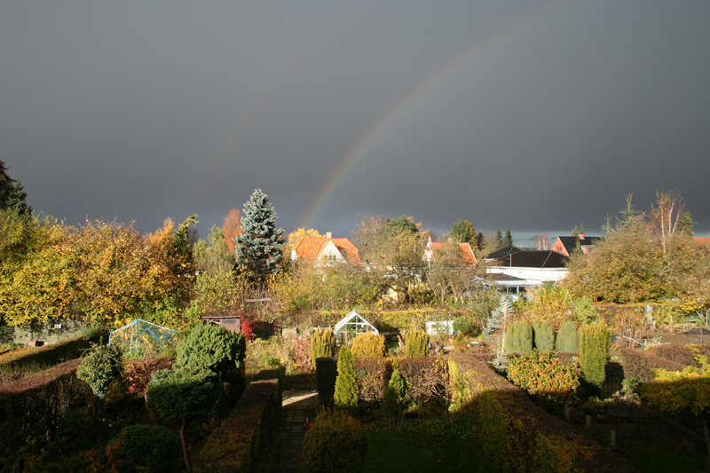 after rain comes - rainbow