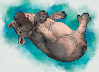 Fiona the Baby Hippo