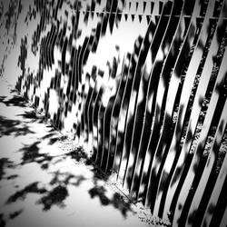 Sunlight and its Shadow