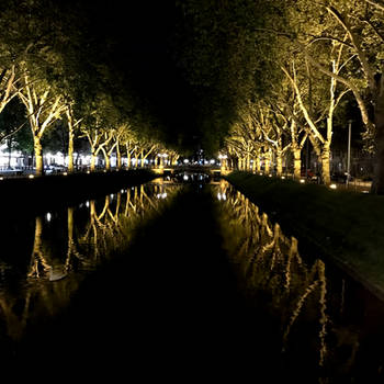 Night in white Satin