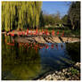 Flamingos In A Blue Frame