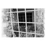 hinter hinter Gittern