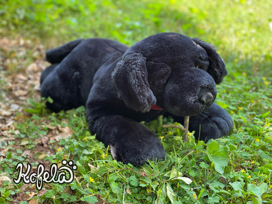 Russ Berrie Large Ginger Black Labrador Plush 30in by kofelaplush on ...