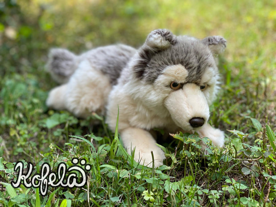 WWF Timber Wolf Plush Lying 14in by kofelaplush on DeviantArt