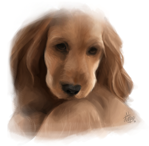 Puppy Speed-Painting