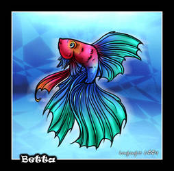 Betta Fish