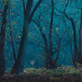 forest textures