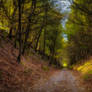 tunnel