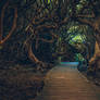 Labyrinth