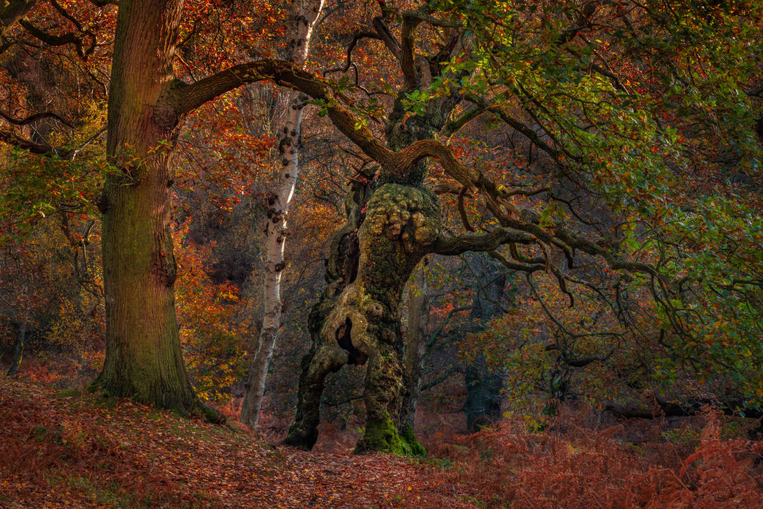 groot tree by zavas on DeviantArt