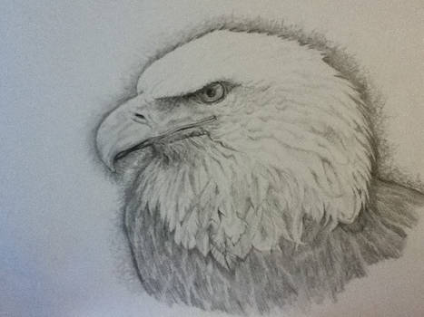 eagle