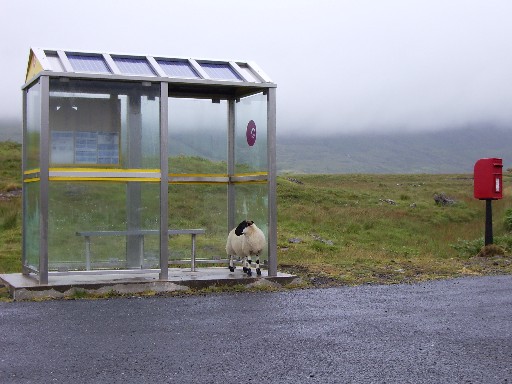 Waiting for a Bus by Baby-Shambles
